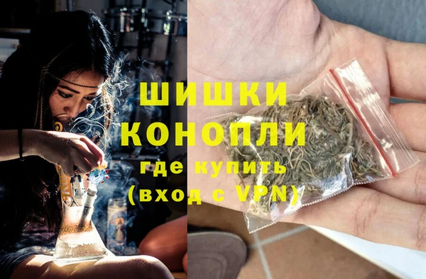 амф Бронницы