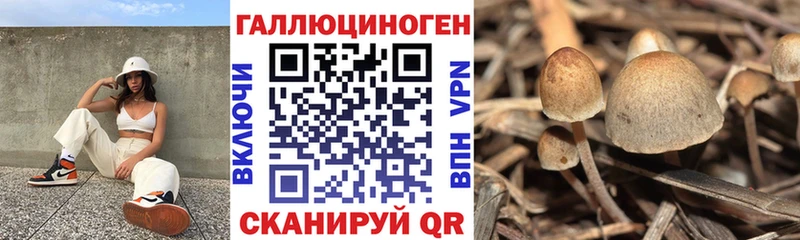 Псилоцибиновые грибы ЛСД  гидра онион  Беслан 